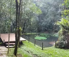 Sítio com cachoeira na Serra da Mantiqueira - São Francisco Xavier - SP - Imagem 8