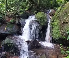 Sítio com cachoeira na Serra da Mantiqueira - São Francisco Xavier - SP - Imagem 9