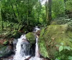 Sítio com cachoeira na Serra da Mantiqueira - São Francisco Xavier - SP - Imagem 11