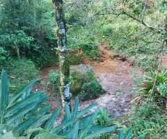 TSFX022 | 12 Alqueires a venda em São Francisco Xavier - Imagem 4