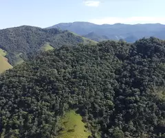 TSFX022 | 12 Alqueires a venda em São Francisco Xavier - Imagem 10