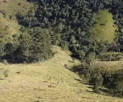 TSFX022 | 12 Alqueires a venda em São Francisco Xavier - Imagem 11