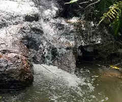 TSFX022 | 12 Alqueires a venda em São Francisco Xavier - Imagem 12