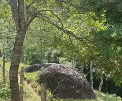 TSFX022 | 12 Alqueires a venda em São Francisco Xavier - Imagem 13