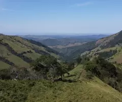 TSFX022 | 12 Alqueires a venda em São Francisco Xavier - Imagem 15