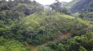 Terreno à Venda em São Francisco Xavier – 44.000 m²