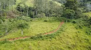 Terreno à Venda em São Francisco Xavier – 44.000 m² - Imagem 2