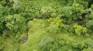 Terreno à Venda em São Francisco Xavier – 44.000 m² - Imagem 3