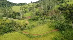 Terreno à Venda em São Francisco Xavier – 44.000 m² - Imagem 4