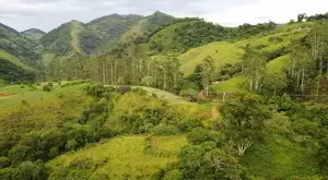 Terreno à Venda em São Francisco Xavier – 44.000 m² - Imagem 5