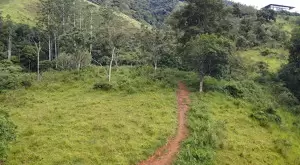 Terreno à Venda em São Francisco Xavier – 44.000 m² - Imagem 6