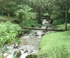 Sitio cinematográfico a venda em São Francisco Xavier - Imagem 9