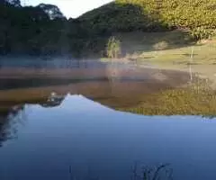 Fazenda a venda com área de 62 alqueires sendo 40 alqueires de eucaliptos - Imagem 13