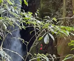 Terreno com cachoeiras maravilhosa a venda - Imagem 2