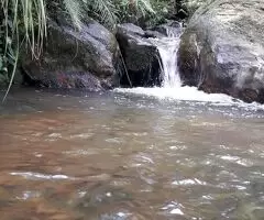 Sítio com riacho e cachoeira - Imagem 6