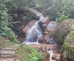 Sítio com riacho e cachoeira - Imagem 17