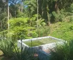 Uma linda propriedade a venda na Serra da Mantiqueira - Imagem 8