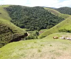 MTB012 | Terreno a venda em monteiro lobato - SP,  a 4 km do centro - Imagem 14