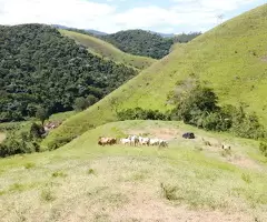 MTB012 | Terreno a venda em monteiro lobato - SP,  a 4 km do centro - Imagem 15