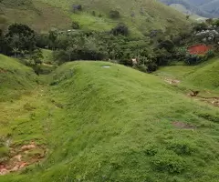 Loteamento Rural, Fazenda São João II - Imagem 2