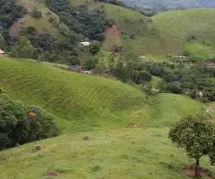 Loteamento Rural, Fazenda São João II - Imagem 3