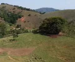 Loteamento Rural, Fazenda São João II - Imagem 4