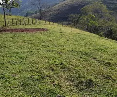 Loteamento Rural, Fazenda São João II - Imagem 5