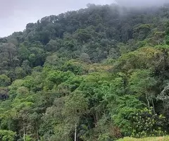 Loteamento Rural, Fazenda São João II - Imagem 10