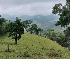 Loteamento Rural, Fazenda São João II - Imagem 11