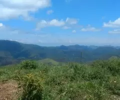 Loteamento Rural, Fazenda São João II - Imagem 14