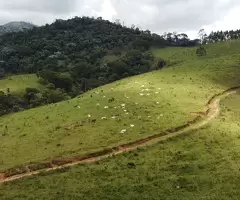 60 Alqueires a venda na cidade de Monteiro Lobato - SP - Imagem 7