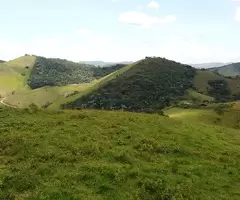 60 Alqueires a venda na cidade de Monteiro Lobato - SP - Imagem 10