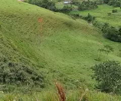 TSFX009 | Terreno em São Francisco Xavier, região do rio do peixe - Imagem 13