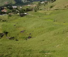 TSFX042 Terreno de 4 alqueires a 2 km da praça de São Francisco Xavier  a venda - Imagem 3