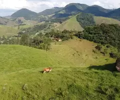 TSFX042 Terreno de 4 alqueires a 2 km da praça de São Francisco Xavier  a venda - Imagem 6