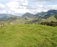 TSFX042 Terreno de 4 alqueires a 2 km da praça de São Francisco Xavier  a venda - Imagem 8