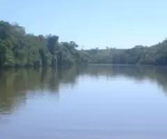 Fazenda 426 Alqueres ou seja 2.061 hectares na região de Cachoeira Alta GO - Imagem 7