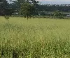 Fazenda 426 Alqueres ou seja 2.061 hectares na região de Cachoeira Alta GO - Imagem 9