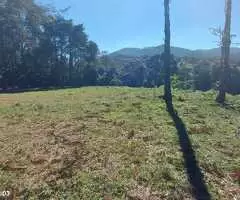 Terreno a venda em São Francisco Xavier com área de 6 Alqueires - Imagem 2