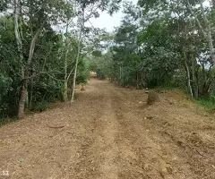 Terreno com área de 5 alqueires a venda em São Francisco Xavier - SP - Imagem 3