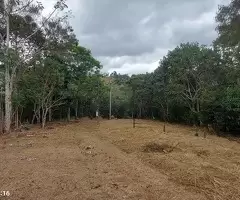 Terreno com área de 5 alqueires a venda em São Francisco Xavier - SP - Imagem 5