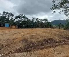 Terreno com área de 5 alqueires a venda em São Francisco Xavier - SP - Imagem 8