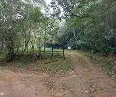 Terreno com área de 5 alqueires a venda em São Francisco Xavier - SP - Imagem 10