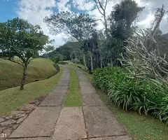 Sítio a venda em São Francisco Xavier com vista acima das nuvens - Imagem 2