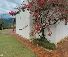 Sítio a venda em São Francisco Xavier com vista acima das nuvens - Imagem 4