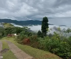 Sítio a venda em São Francisco Xavier com vista acima das nuvens - Imagem 6