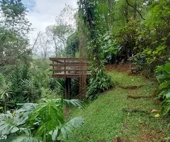 Sítio a venda em São Francisco Xavier com vista acima das nuvens - Imagem 15