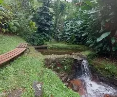 Sítio a venda em São Francisco Xavier com vista acima das nuvens - Imagem 16