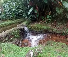 Sítio a venda em São Francisco Xavier com vista acima das nuvens - Imagem 17