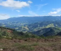 Terreno cinematográfico e com vista maravilhosa a venda - Imagem 7